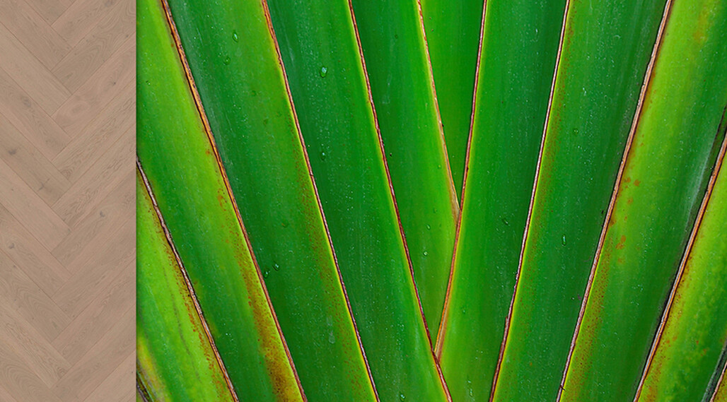 Ter Hürne Parkett Herringbone COLLECTION bei Parkettrabatte
