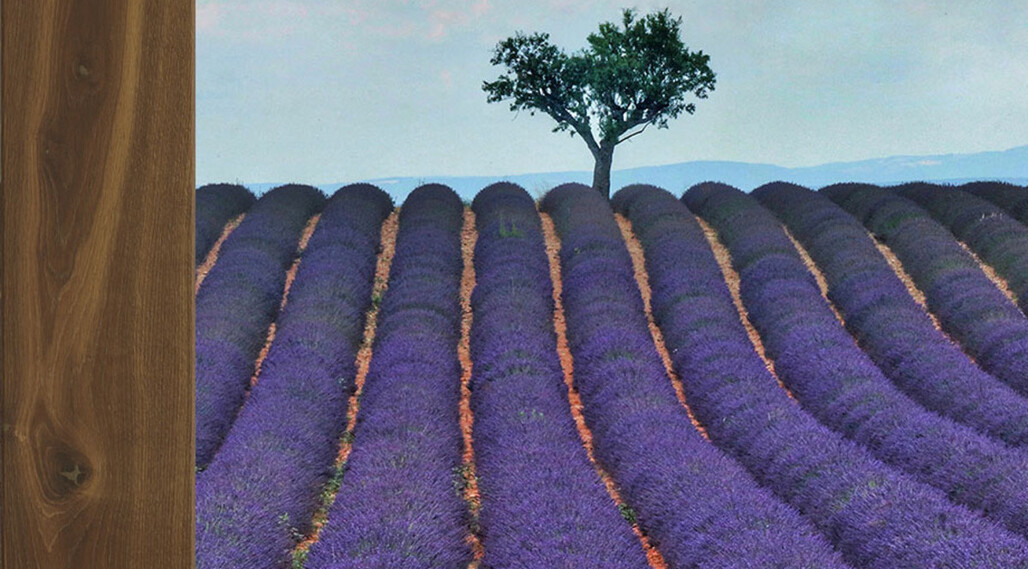 Ter Hürne Parkett MOODS OF PROVENCE COLLECTION bei Parkettrabatte
