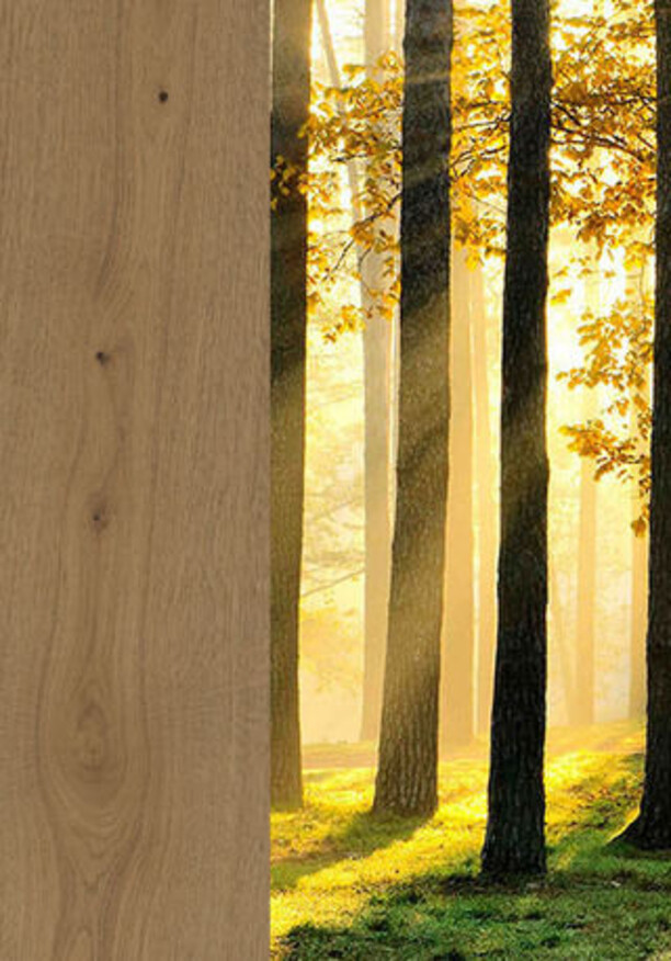 Ter Hürne Parkett Classic Collection bei Parkettrabatte