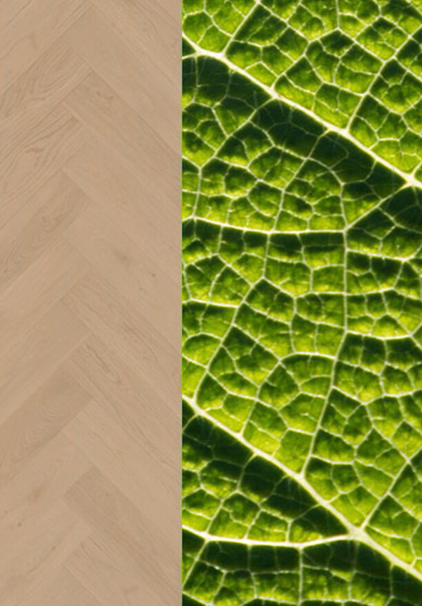 Ter Hürne Parkett Estate Collection bei Parkettrabatte