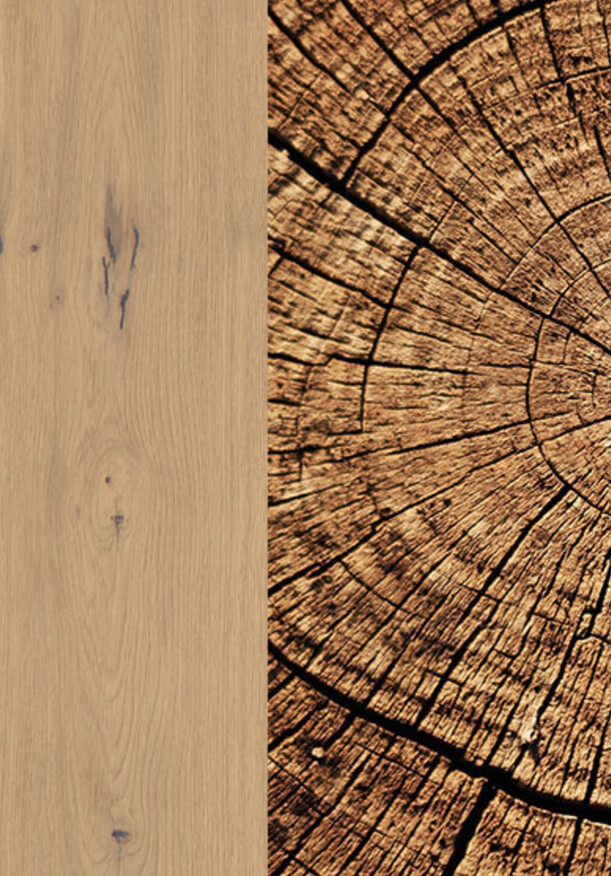 Ter Hürne Parkett Unique Collection bei Parkettrabatte