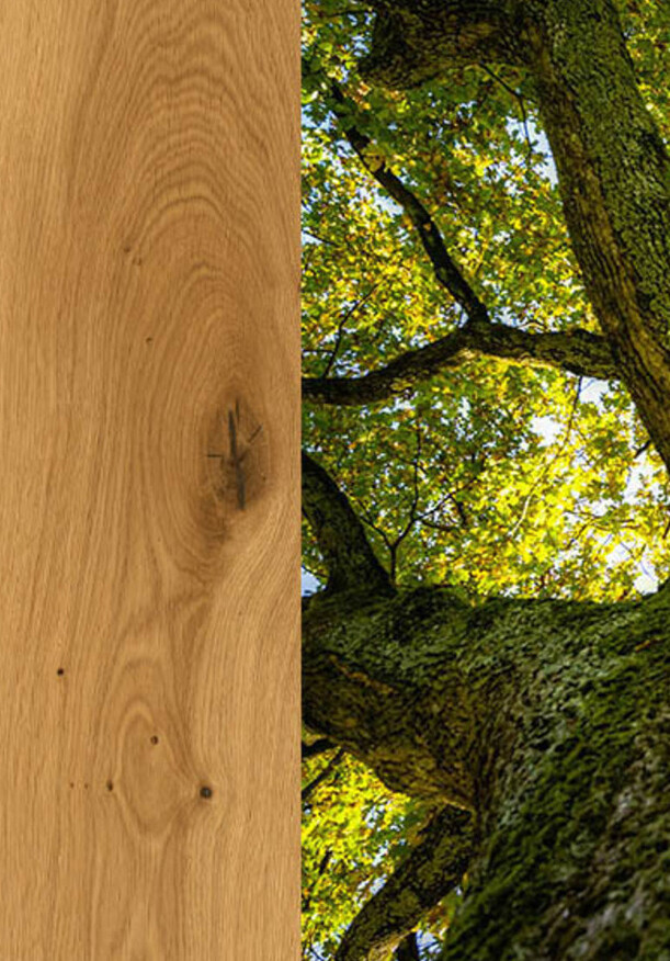 Ter Hürne Parkett Noblesse Collection bei Parkettrabatte