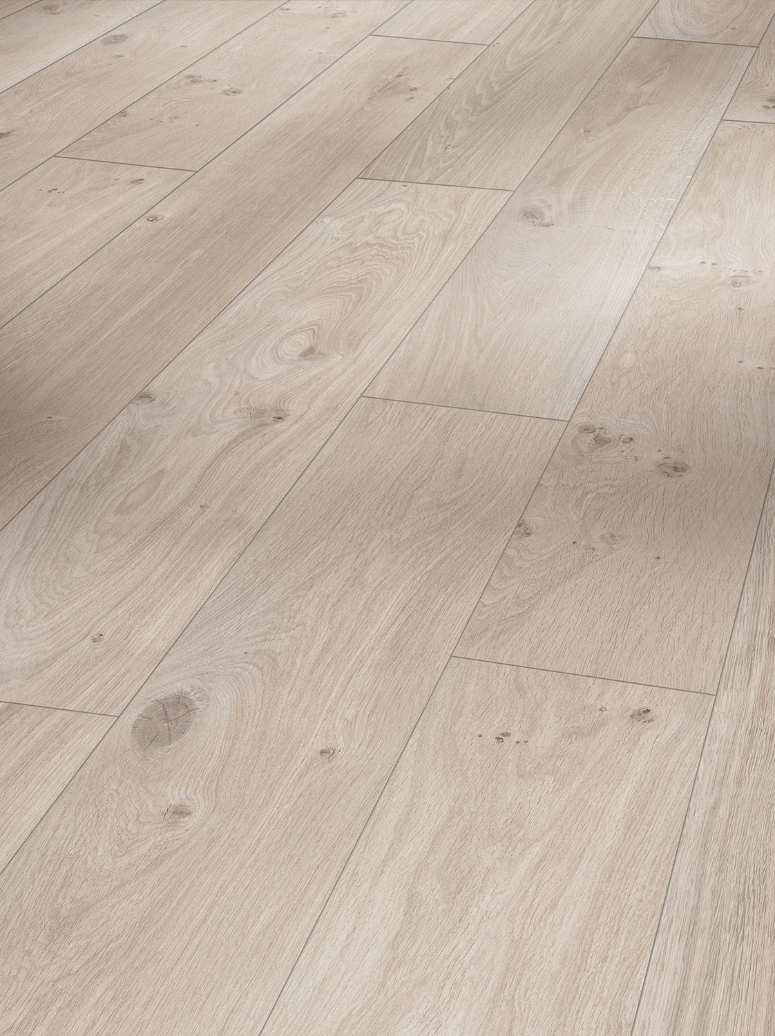 Parador Laminat Basic 400 V - Eiche Natur Grau Seidenmatte Struktur 1593798