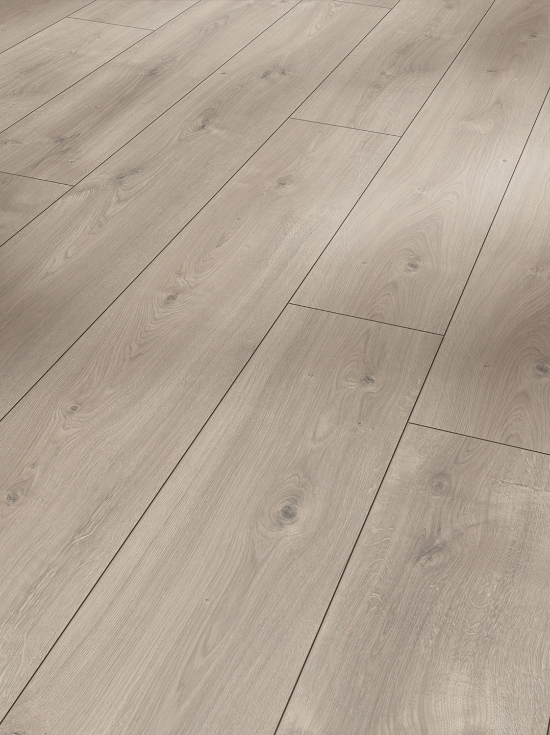 Parador Laminat Trendtime 6 - Eiche Mistral Grau Naturstruktur 1567466