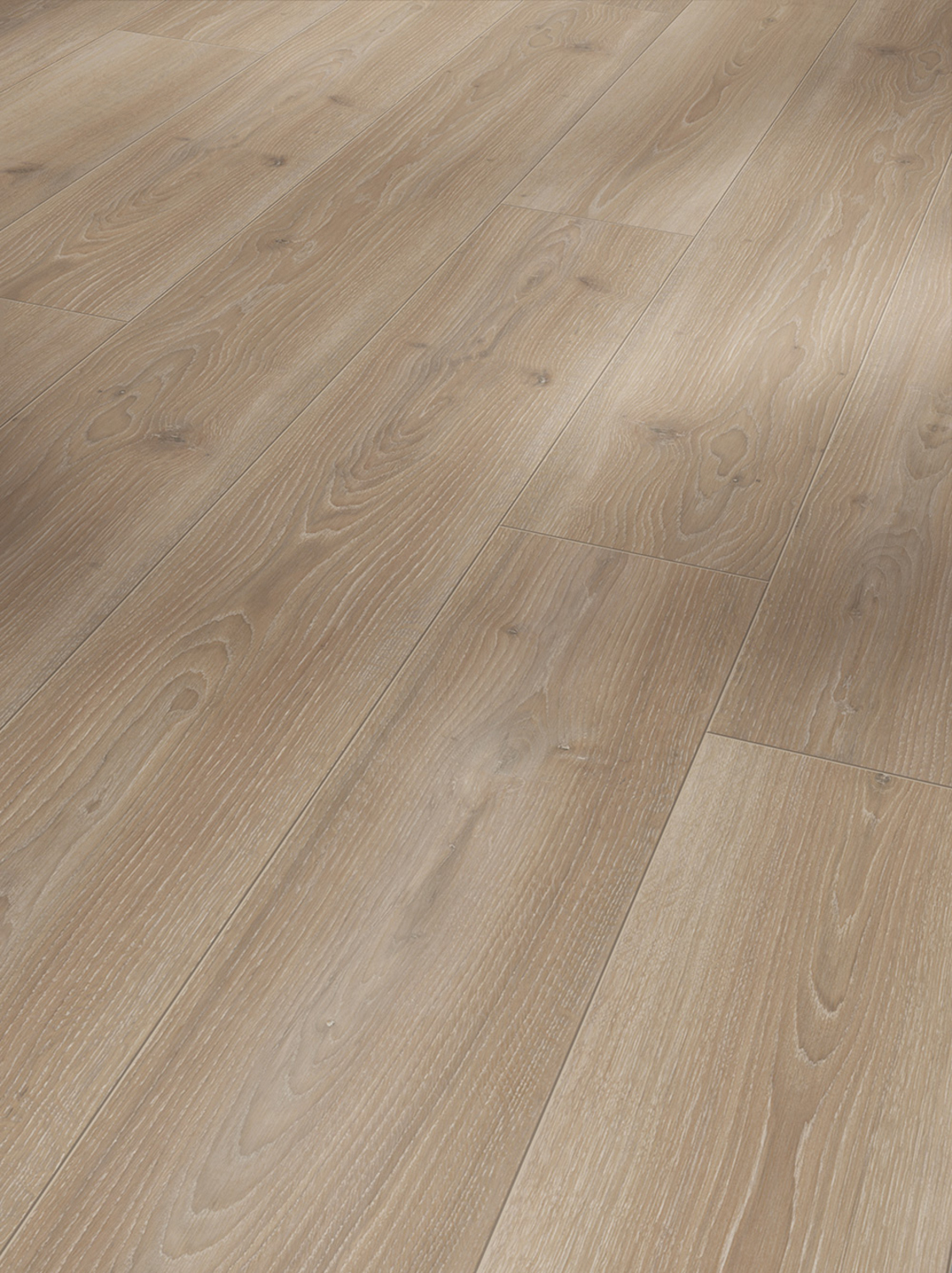 Parador Laminat Trendtime 6 - Eiche Skyline perlgrau Naturmattstruktur 1601103