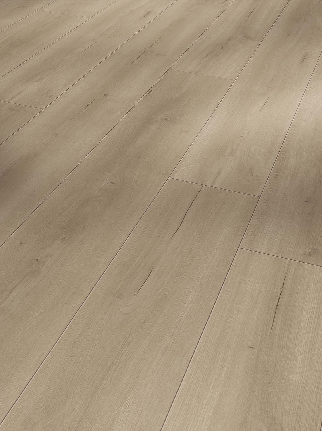 Parador Laminat Trendtime 6 - Eiche Loft grau lebhafte struktur 1730467