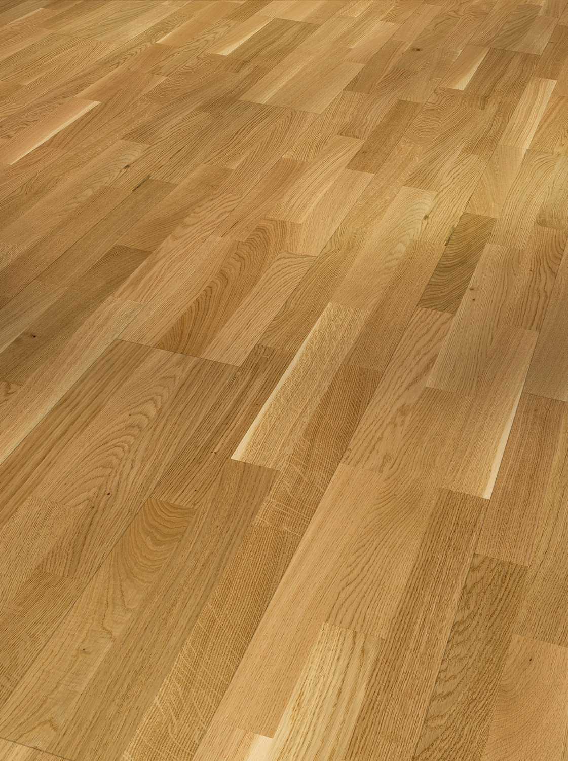 Parador Parkett Basic 11-5 -Eiche matt lackiert 1569685