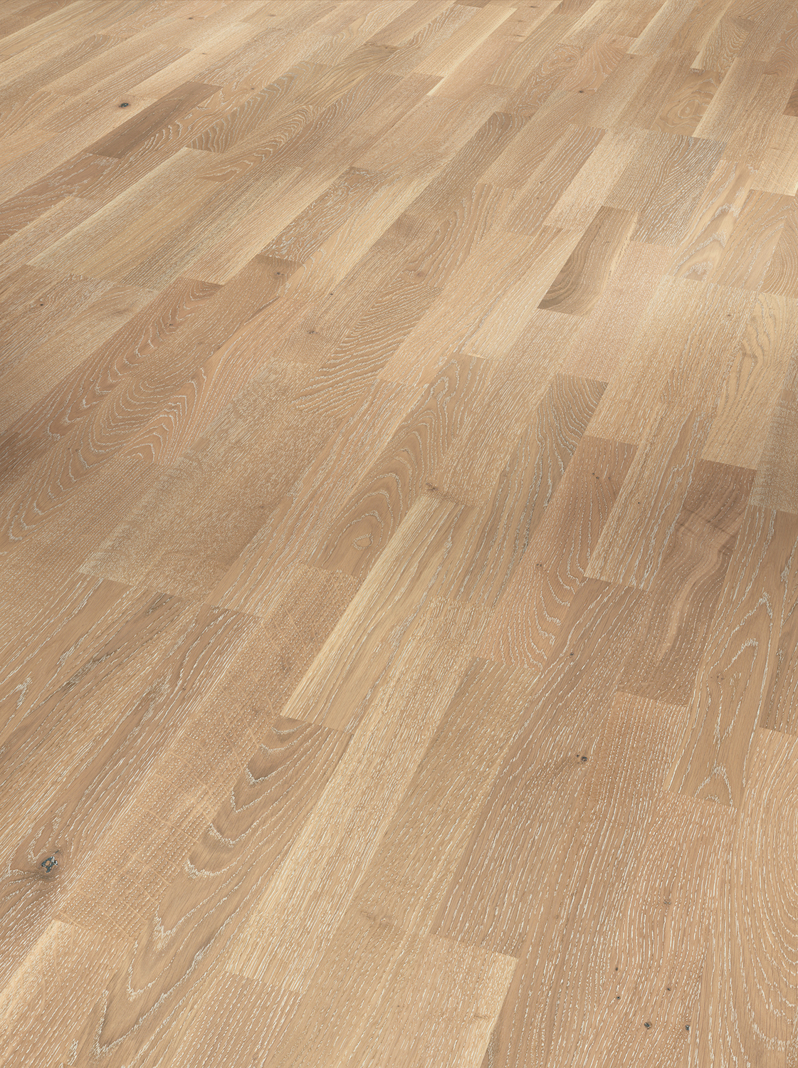 Parador Parkett Basic 11-5 -Eiche Weißpore weiß matt lack 1595130