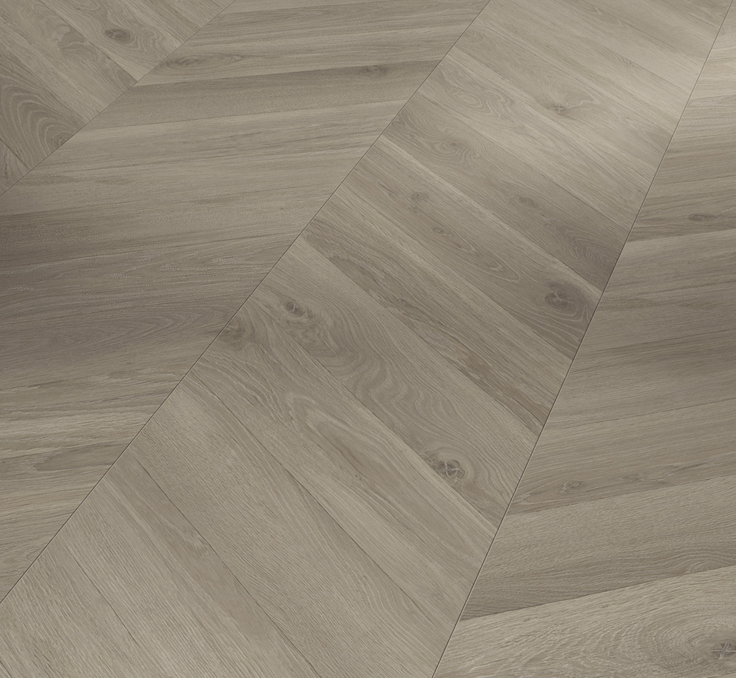 Parador Laminat Trendtime 8 - Eiche Loire Grau Seidenmatte Struktur 1748771