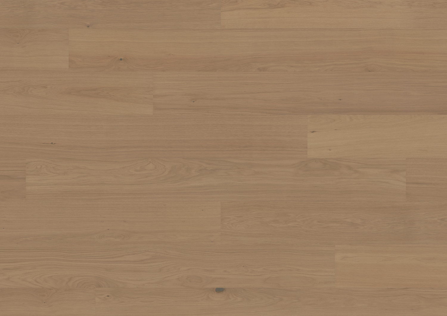 ter Hürne Hywood Noblesse Collection - Eiche Thousand Islands gebürstet 1101280135