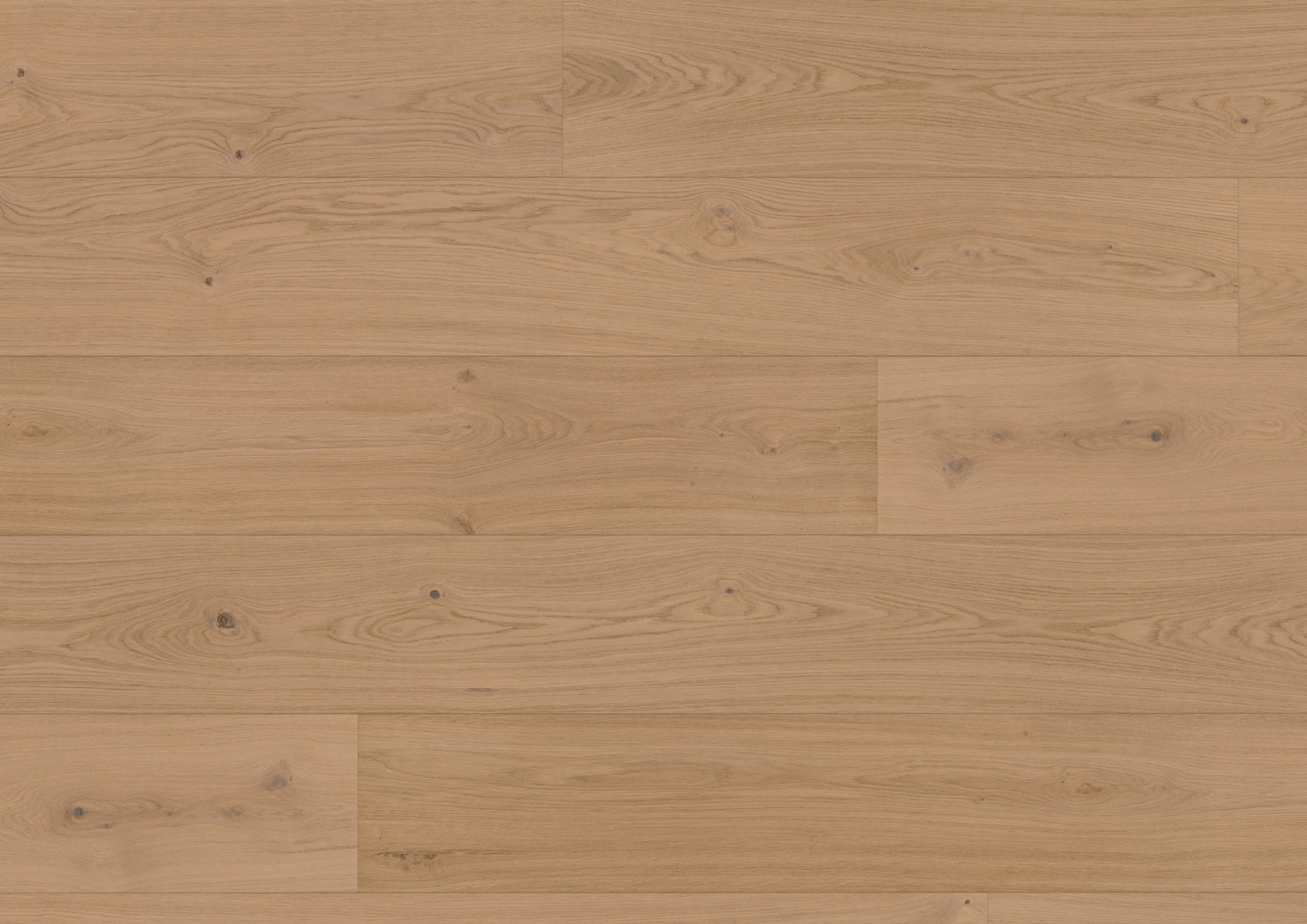 ter Hürne Hywood Noblesse Collection - Eiche Pirin gebürstet 1101281108