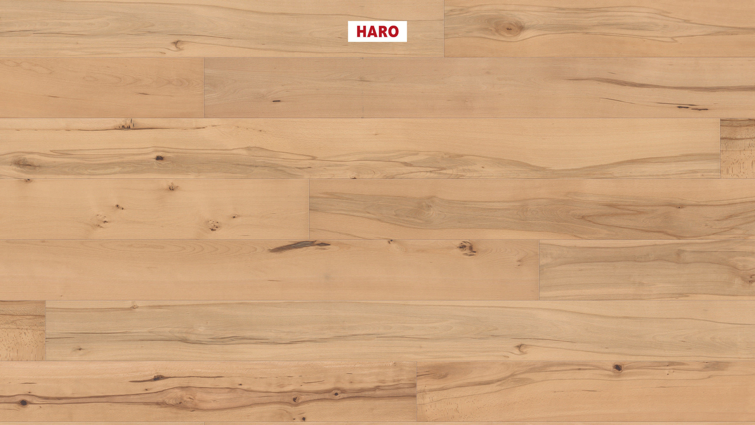 HARO Parkett PARKETT 4000 -Buche gedämpft 547507