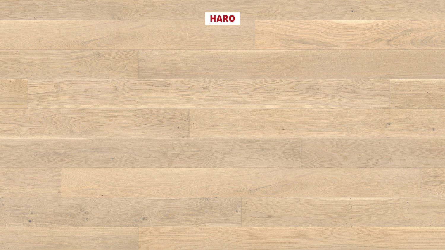 HARO Parkett PARKETT 4000 -Eiche lichtweiß strukturiert 548119