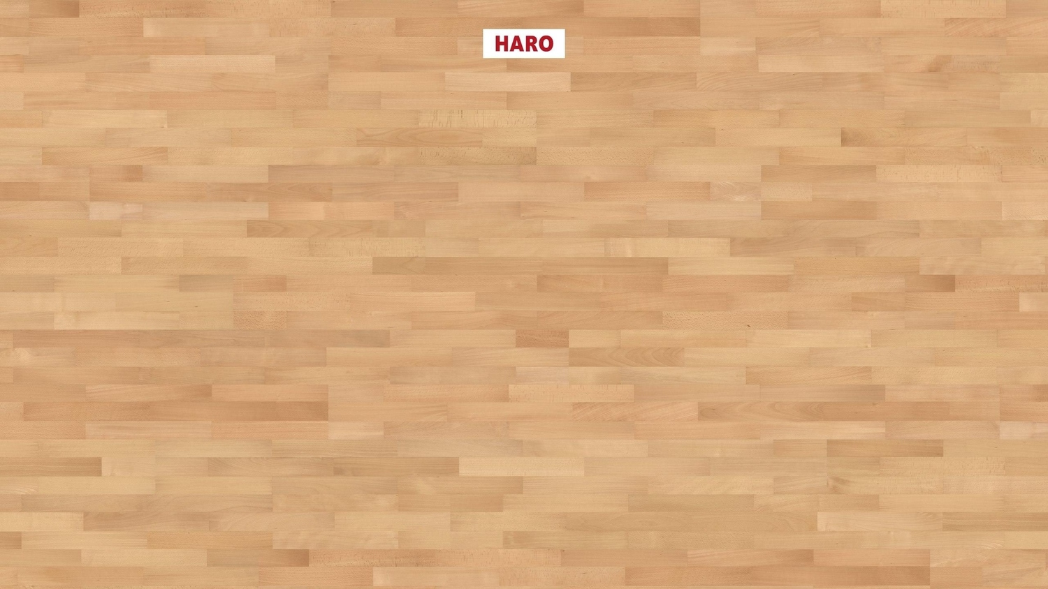 HARO Parkett PARKETT 4000 -Buche gedämpft 535419