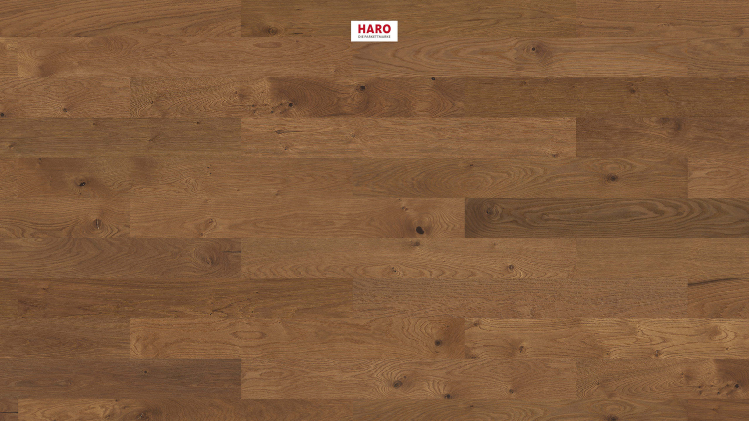 HARO Parkett PARKETT 4000 -Prestige Bernsteineiche strukturiert 543507