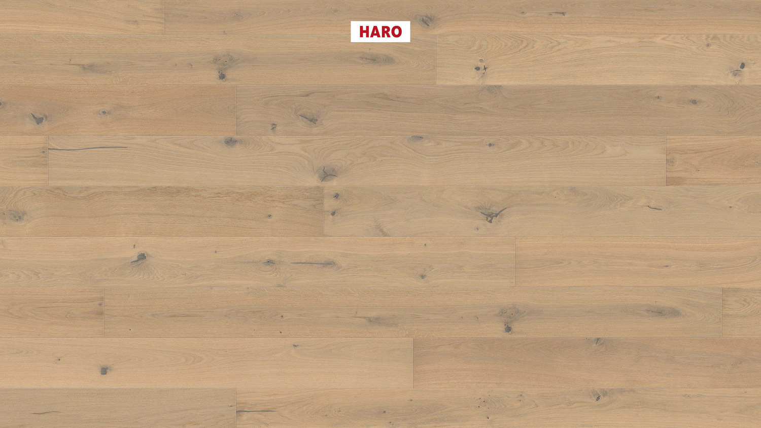 HARO Parkett PARKETT 4000 -Eiche lichtweiß strukturiert 547568