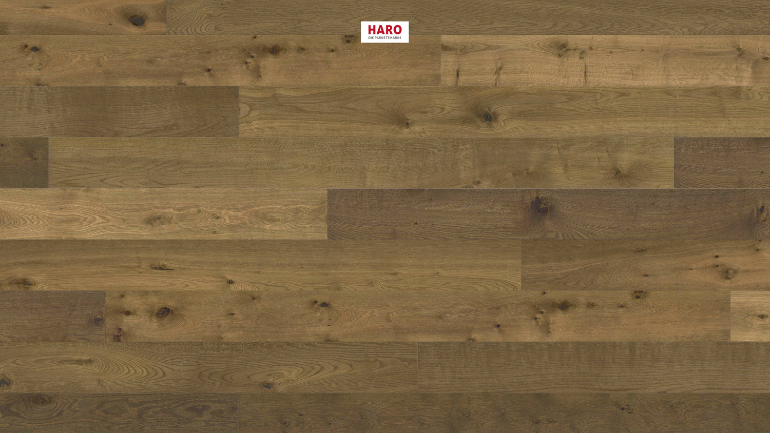 HARO Parkett PARKETT 4000 -Raucheiche geschroppt 550250