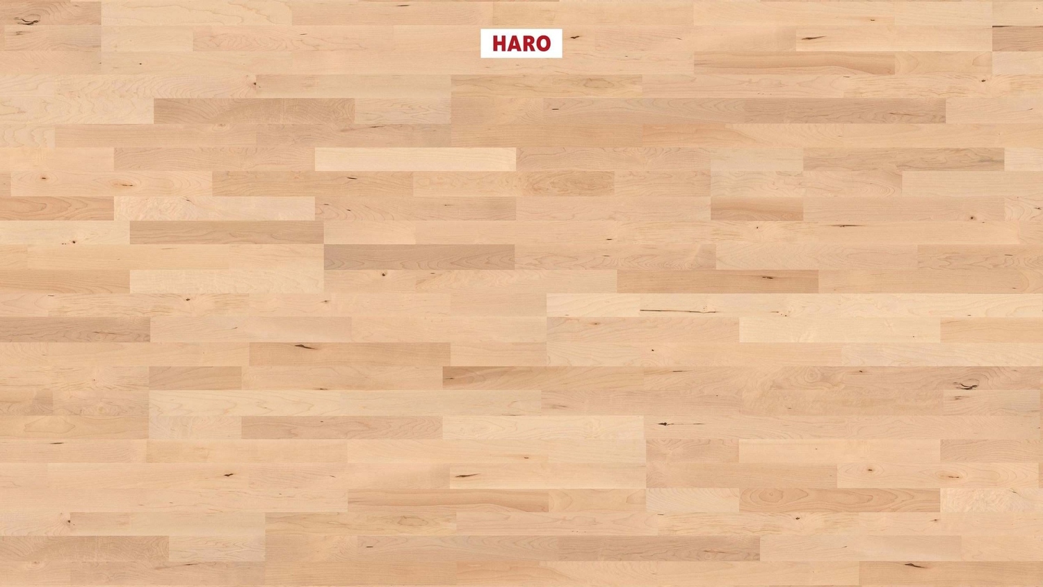 HARO Parkett PARKETT 4000 -kanadischer Ahorn 548132