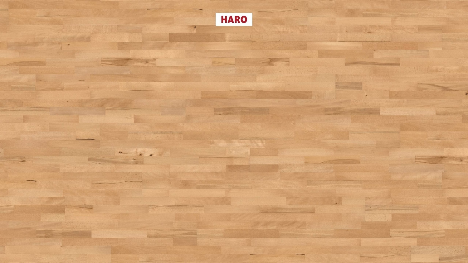 HARO Parkett PARKETT 2500 -Buche gedämpft 548136