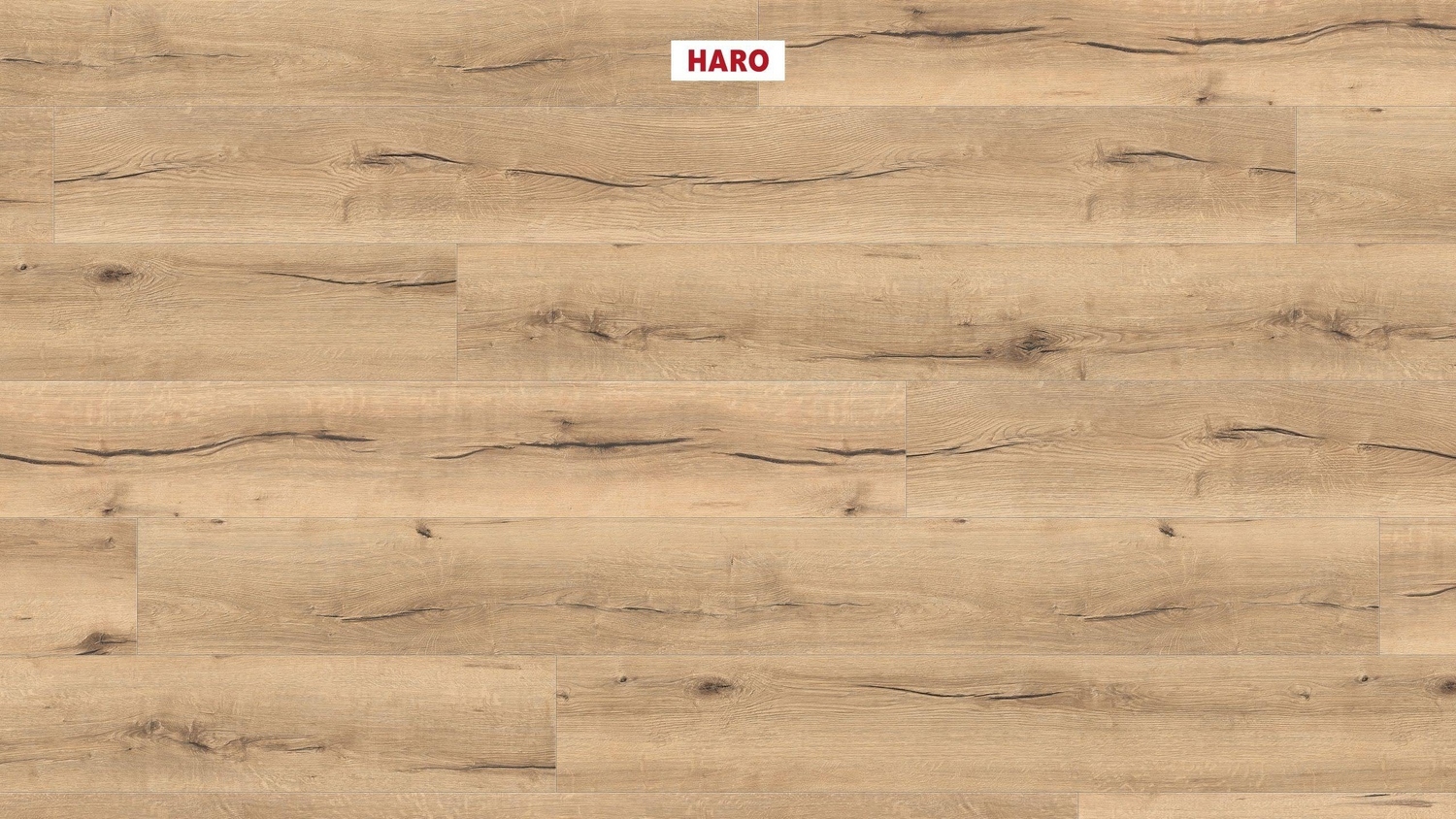 HARO Laminat TRITTY 100 - Eiche italica creme authentic 530693