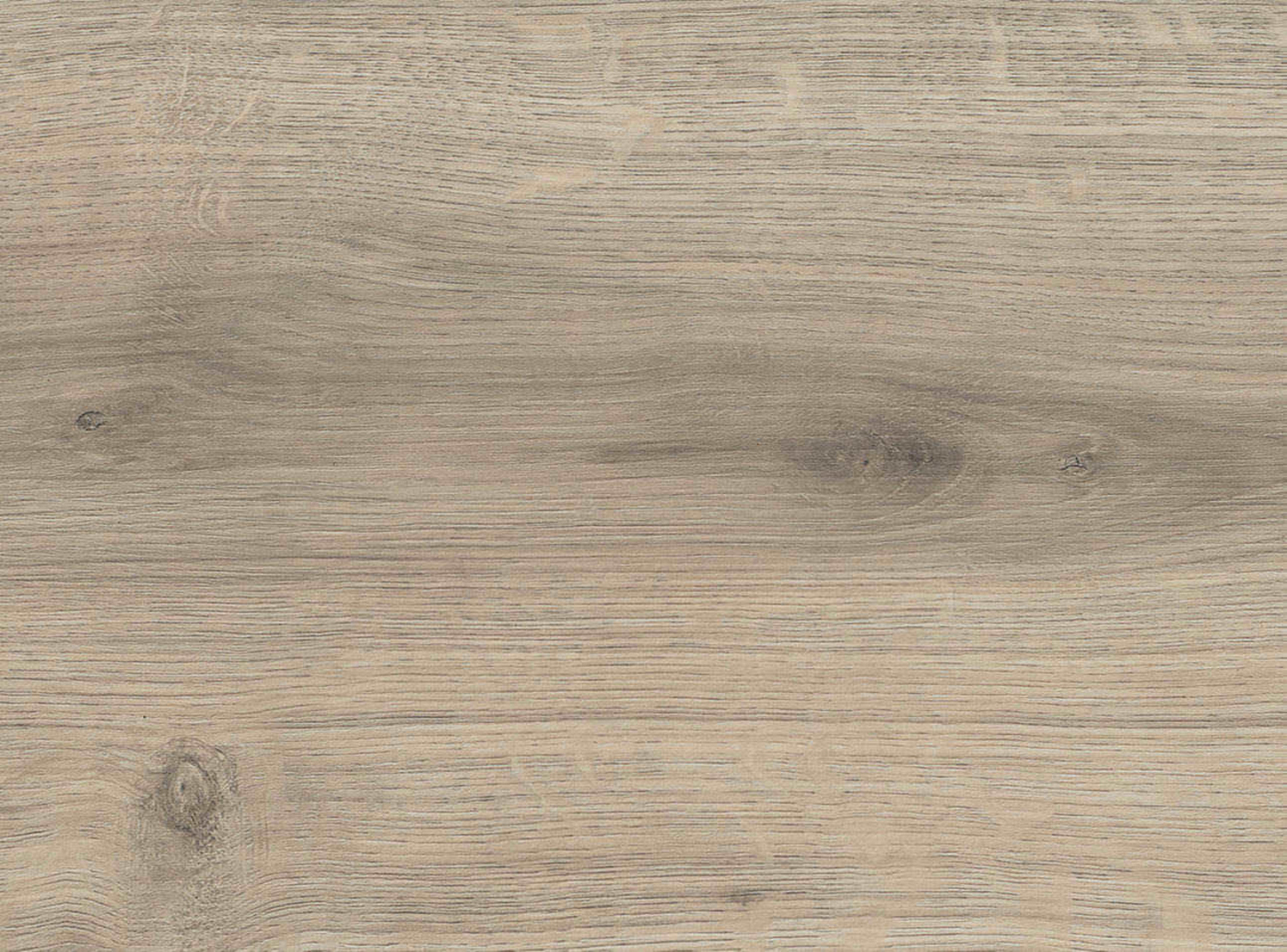 HARO Laminat TRITTY 200 Aqua - Eiche Emilia samtgrau authentic soft 540244