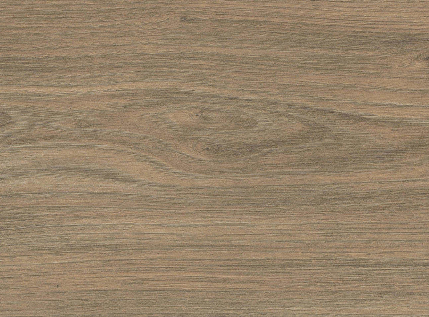HARO Laminat TRITTY 200 Aqua - Ulme 544815