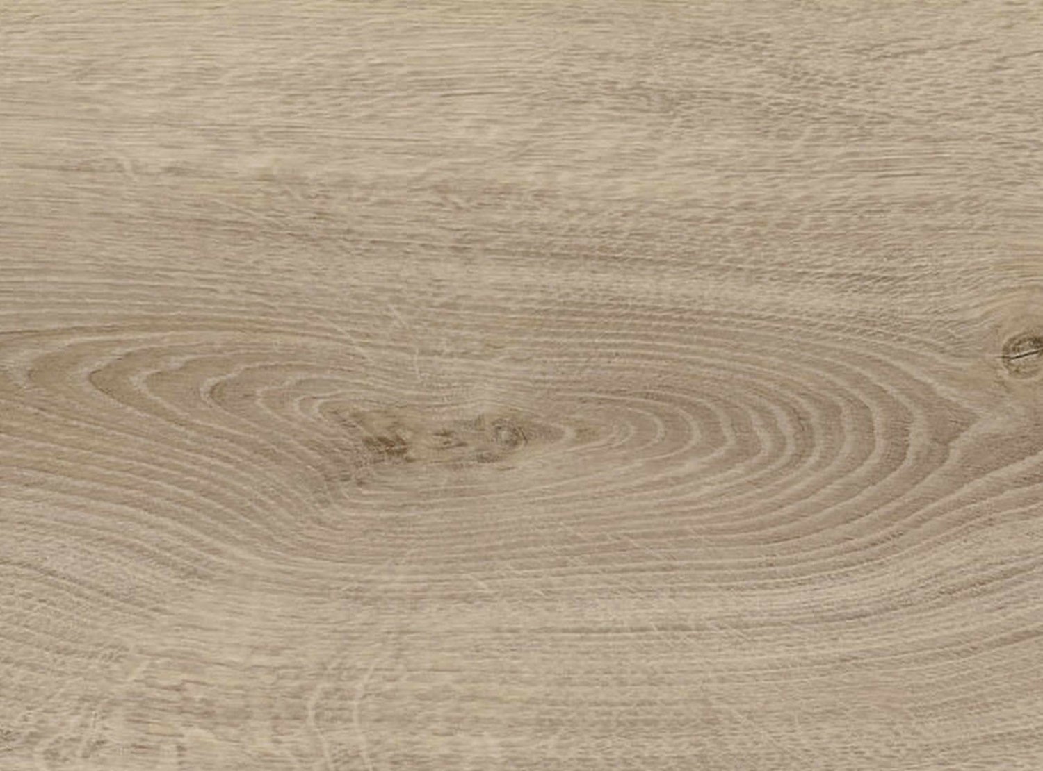 HARO Klebevinyl DISANO Project - Eiche Sheffield graubraun authentisch 549041