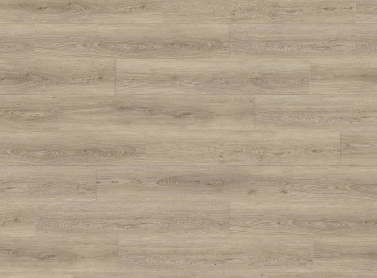 HARO Designboden DISANO LifeAqua - Eiche Sheffield graubraun authentisch 549065