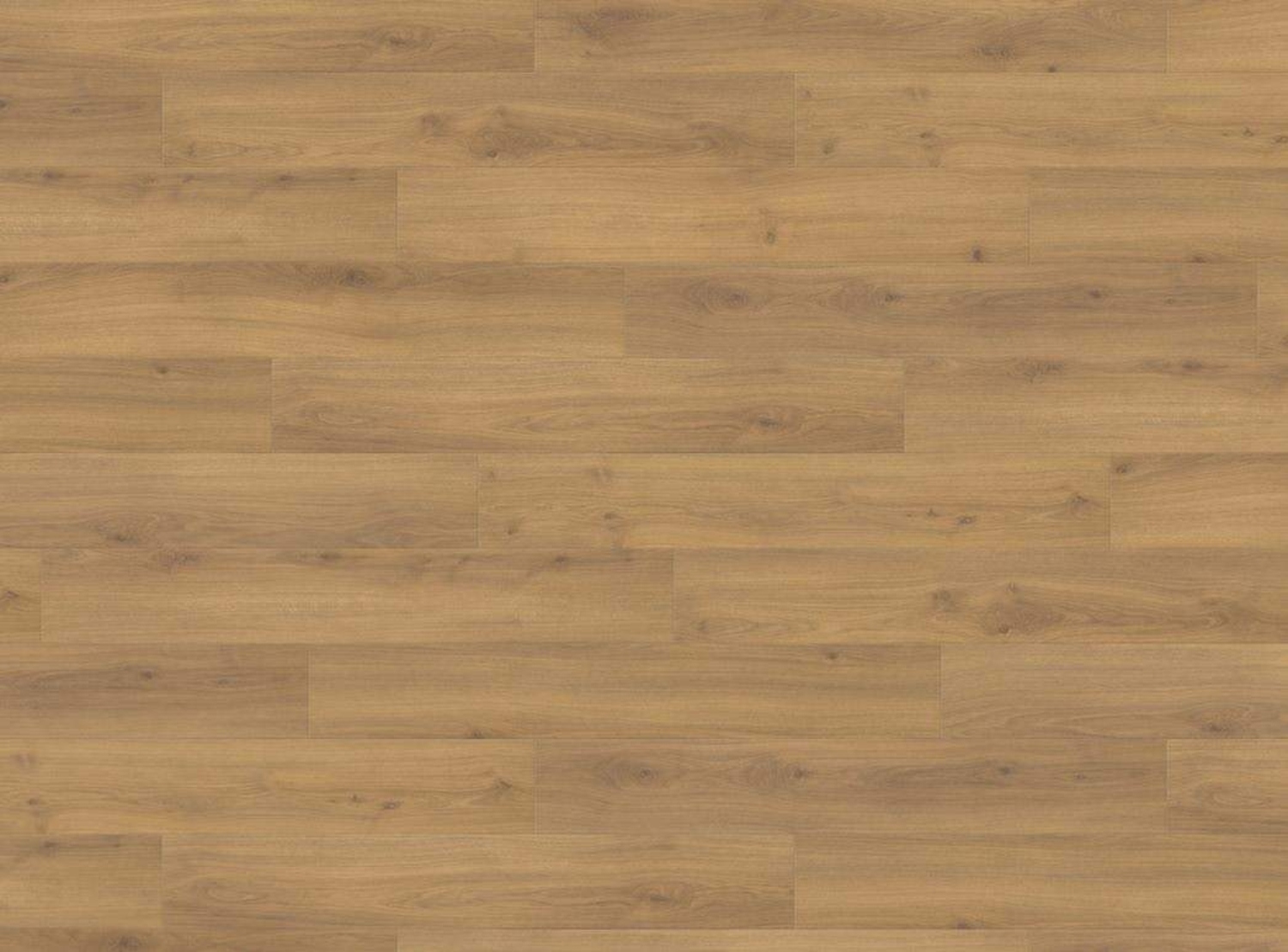 HARO Laminat TRITTY 100 - Eiche Emilia Honig authentic soft 538692
