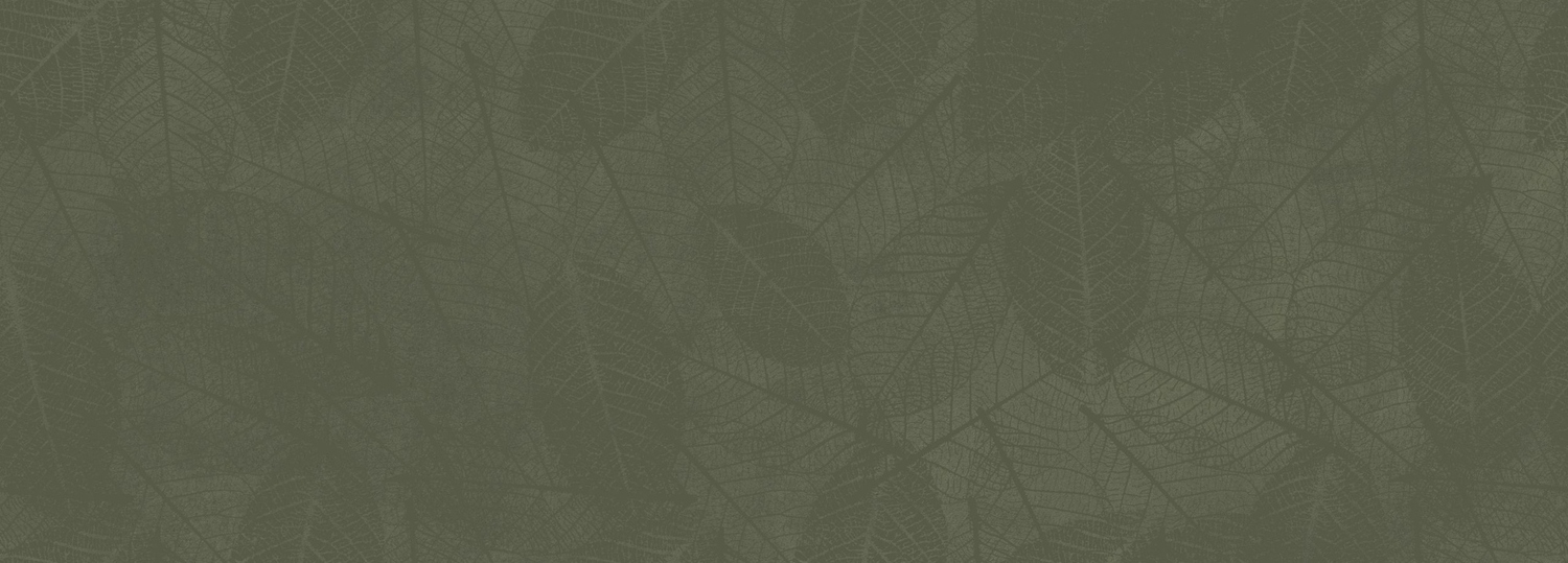 KWG Dekorpaneel PINTA - Autumn Leaves Green 3D KWG431121