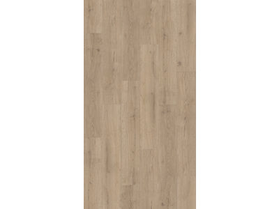 Parador Basic 2.0 Vinylboden Eiche Infinity grau lebhafte struktur Klebevinyl / Dryback Landhausdiele 1730800 | 2