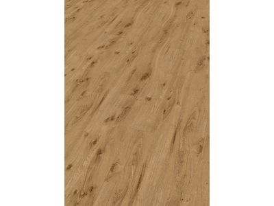 ter Hürne Classic Choice Vinylboden C05 Eiche York 2036 gebürstet matt Klebevinyl Landhausdiele 1101210600 | 1
