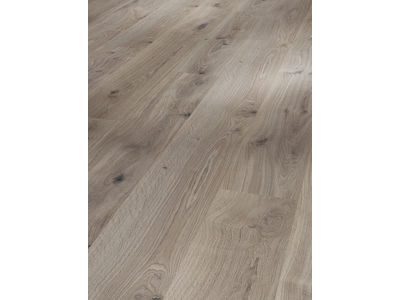 Parador Basic 400 Laminat Eiche basalt Grau Seidenmatt Struktur Landhausdiele 1744347 | 1