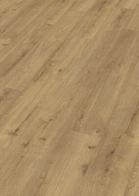  Meister LD 250 Laminat Eiche Champagner Porensynchron-Struktur Kurzdiele 1288x10x244 mm 600002-1288244-07001 | 100235