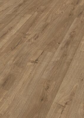  Meister LD 250 Laminat Eiche Bernstein Porensynchron-Struktur Kurzdiele 1288x10x244 mm 600002-1288244-07002 | 100238