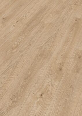  Meister LD 250 Laminat Eiche relax pure Porensynchron-Struktur Kurzdiele breit 1288x10x244 mm 600002-1288244-07113 | 100247