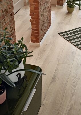  Meister LL 250 Laminat Eiche greige Porensynchron-Struktur Landhausdiele 2052x10x248 mm 600009-2052248-06840 | 100505