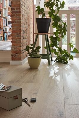 Meister LL250 Laminat Schlosseiche pure Porensynchron-Struktur Landhausdiele 2052x10x248 mm 600009-2052248-06840 | 100508