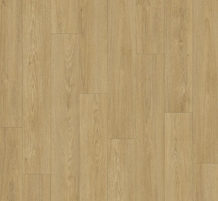  Parador Classic 1050 Laminat Eiche Mont Blanc Natur Matte Holzstruktur Landhausdiele 1285x194x8 mm 1748724 | 57769