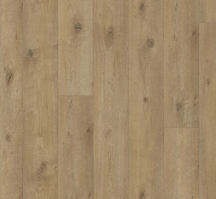  Parador Trendtime 6 Laminat Eiche Everglade Natur Naturmattstruktur Landhausdiele 2200x243x9 mm 1748791 | 57817