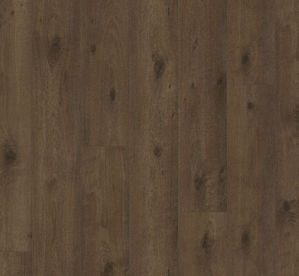  Parador Trendtime 6 Laminat Eiche Everglade Antik Naturmattstruktur Landhausdiele 2200x243x9 mm 1748792 | 57823