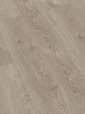 PR Flooring Check one Vinylboden Steindam Eiche Strukturprägung Rigid Landhausdiele 2433 | 58336