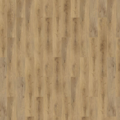  PR Flooring PR Collection Vinylboden Eiche Alyssa Synchronstruktur Landhausdiele 1492x228x5,2 mm 56323 | 60713