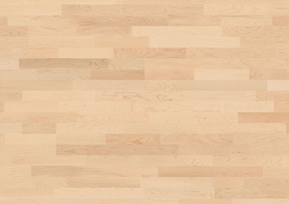 ter Hürne Satin Elements Collection Parkett ausgeglichen lackiert Schiffsboden 3-Stab Naturholz Parkett Ahorn kanadisch 2390x200x13 mm 1101010114 | 73090