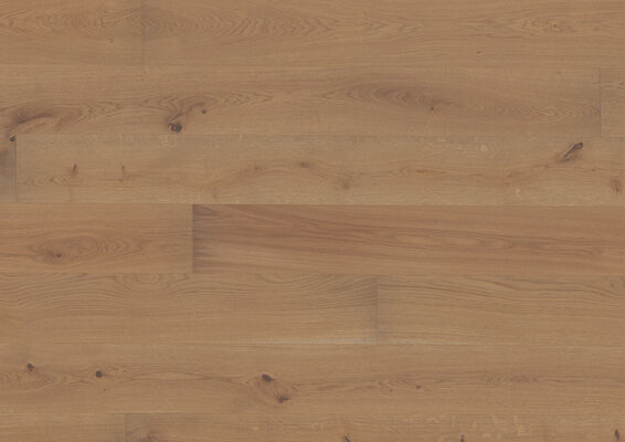  ter Hürne Grand Naturals Collection Parkett ausdrucksstark gebürstet, farbig naturgeölt Landhausdiele Naturholz Parkett Eiche schilfgrau 1559 2390x200x13 mm 1101010889 | 73309
