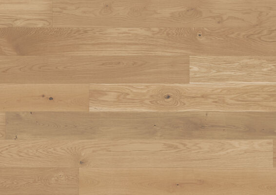  ter Hürne Grand Velvet Collection Parkett ausdrucksstark gebürstet, weiß mattlackiert Landhausdiele Naturholz Parkett Eiche lichtbeige 1286 2390x200x13 mm 1101012175 | 73498