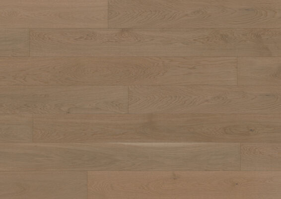  ter Hürne Heaven Collection Parkett ausgeglichen gebürstet, farbig extra mattlackiert Landhausdiele Naturholz Parkett Eiche ockerbraun 1410 2390x200x13 mm 1101012220 | 73573