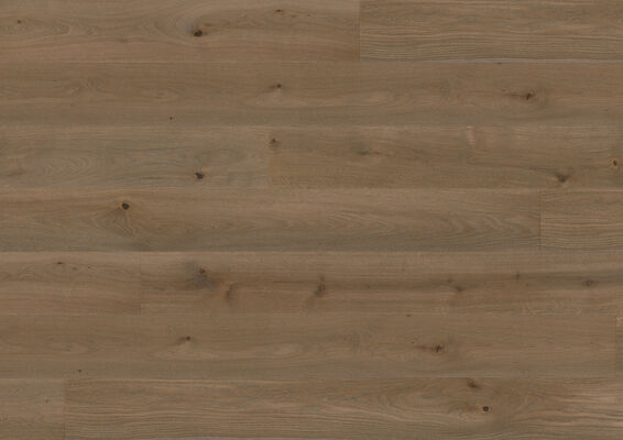  ter Hürne Earth Collection Parkett ausdrucksstark gebürstet, farbig naturgeölt Landhausdiele Naturholz Parkett Eiche terrabraun 2390x200x13 mm 1101012226 | 73630
