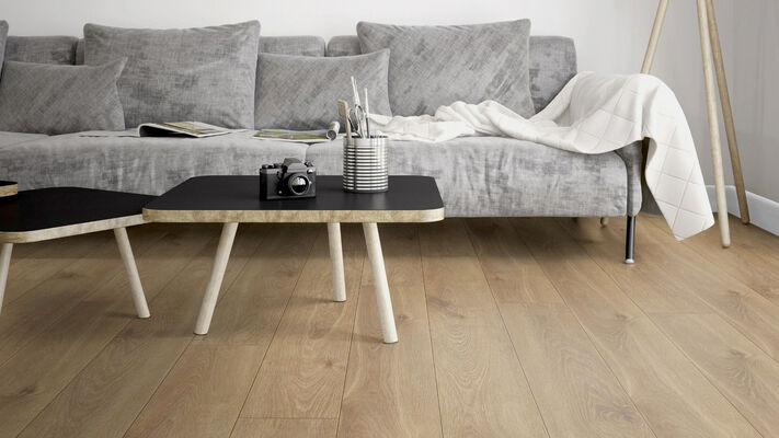  Friends by ter Hürne Laminat Friends Laminat Eiche Estrella linear-gebürstet Landhausdiele 1288 x 8 x 195 mm 1188020003 | 74245