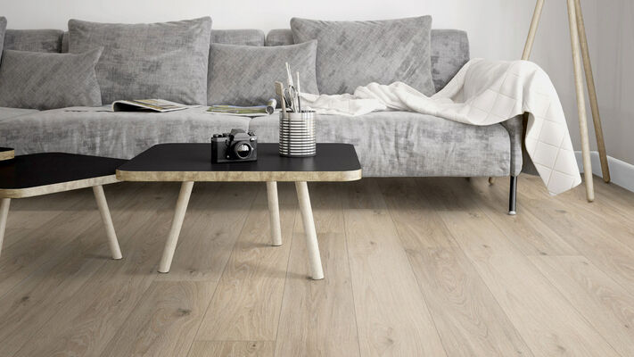  Friends by ter Hürne Laminat Friends Laminat Eiche Lucia linear-geport Landhausdiele 1288 x 8 x 195 mm 1188020005 | 74269